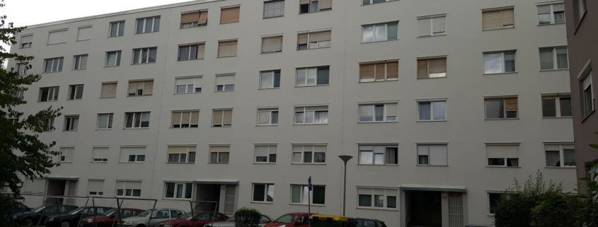 Fasaderstvo Vezjak